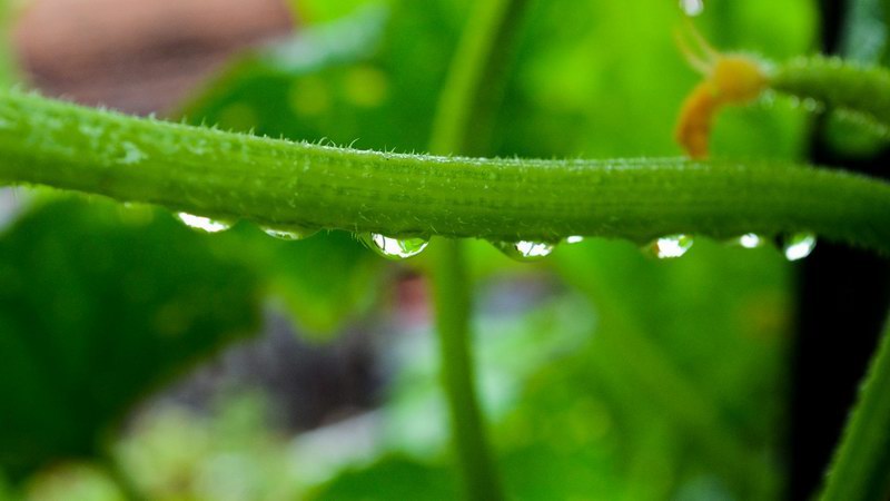 1554088173415620.jpg 1554088173415620.jpg