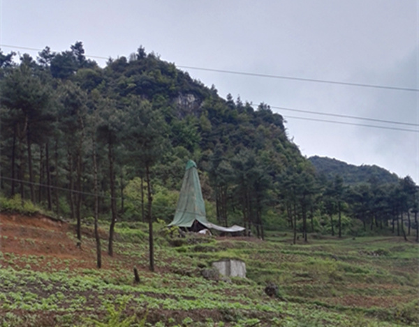 把脈“黔”鋅地，問(wèn)診開(kāi)良方